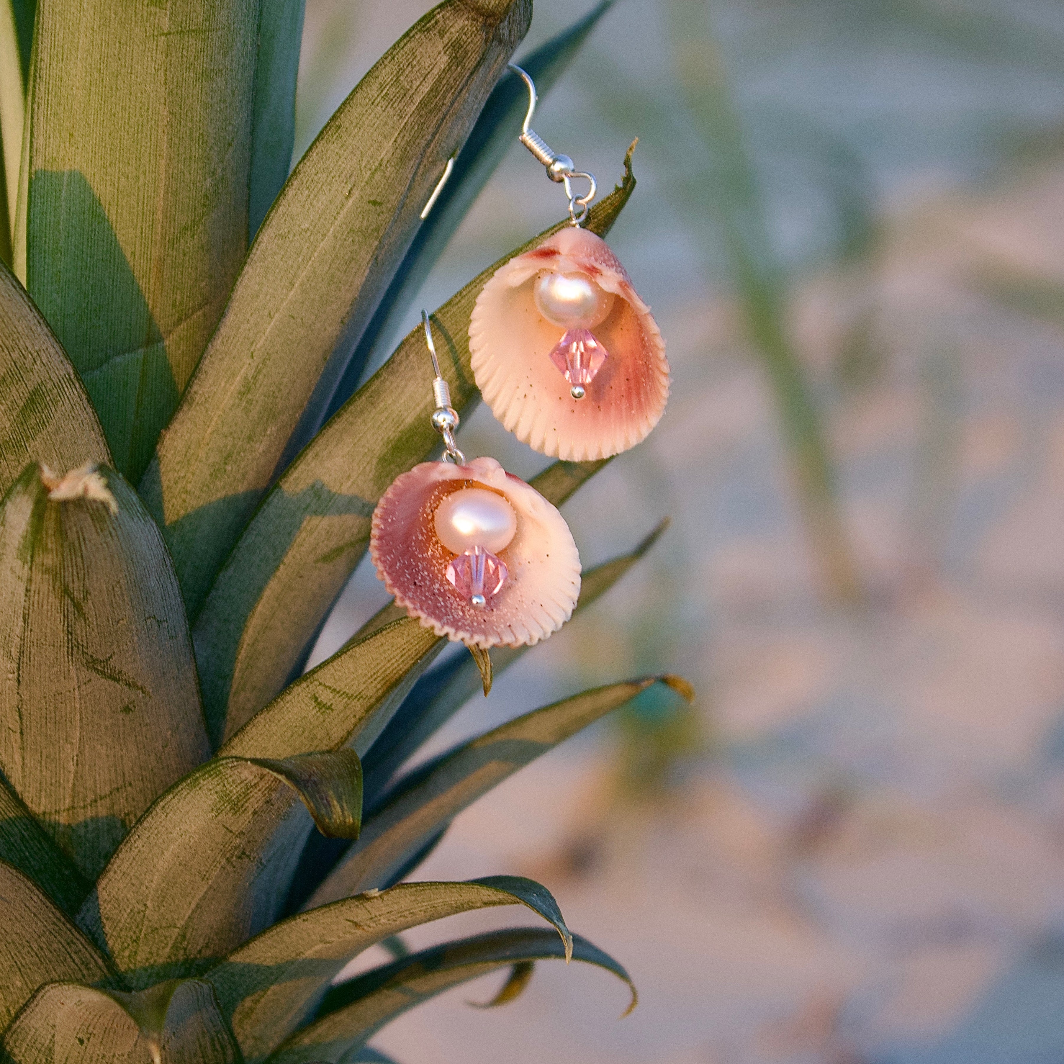 Tierra Earings